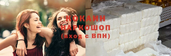 твердый Вяземский