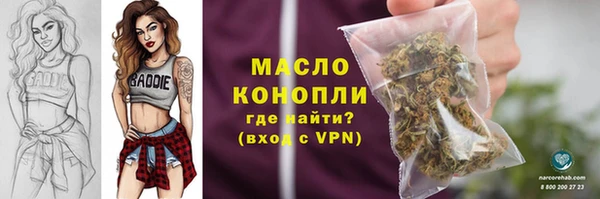 твердый Вяземский