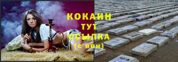 твердый Вяземский
