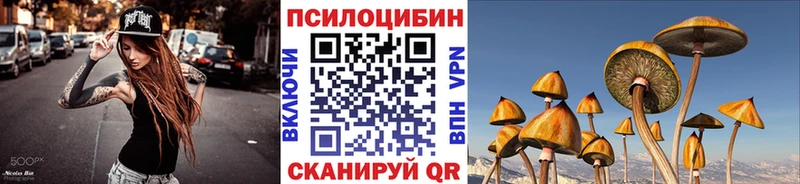 Купить  Городище  Псилоцибиновые грибы мицелий 