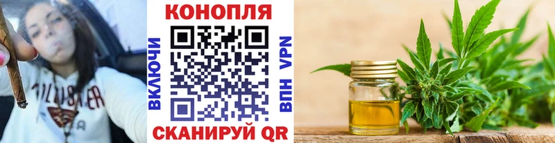 Купить Городище Шишки марихуана гибрид